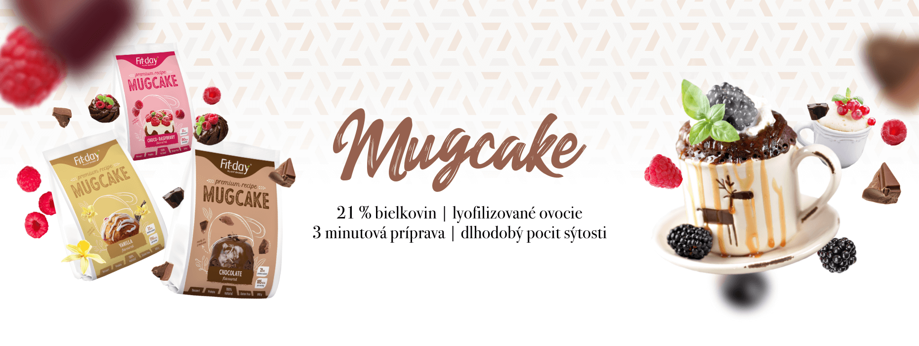 mugcake_1860x700_sk